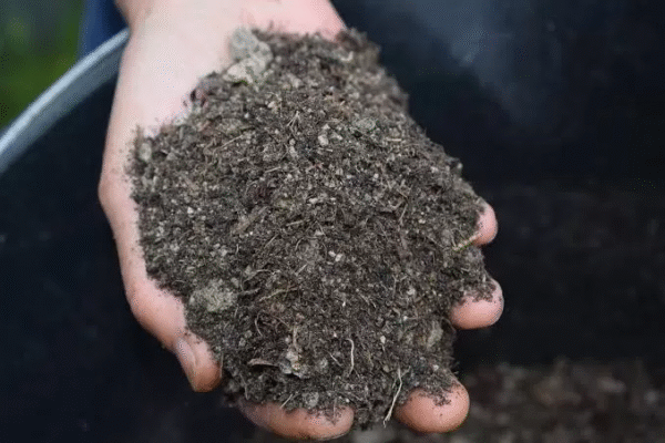 Bio Bokashi Envelhecido