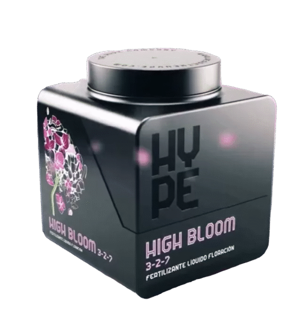 High Bloom The Hype