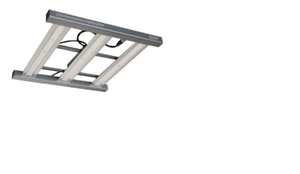 Quantum Bar 150W Bioledz