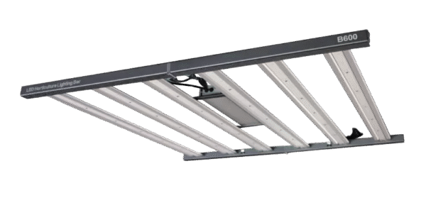 Quantum Bar 600W Bioledz