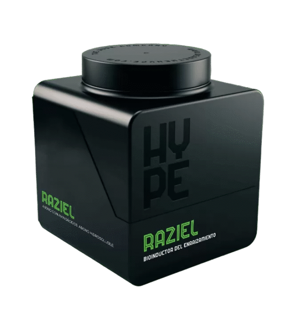 Raziel The Hype