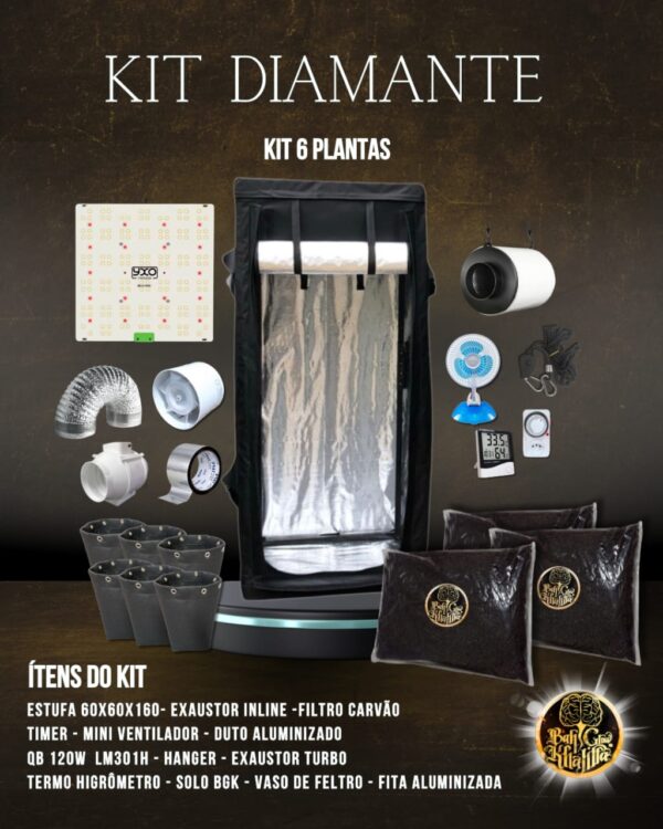 Kit Diamante BGK 6 Plantas