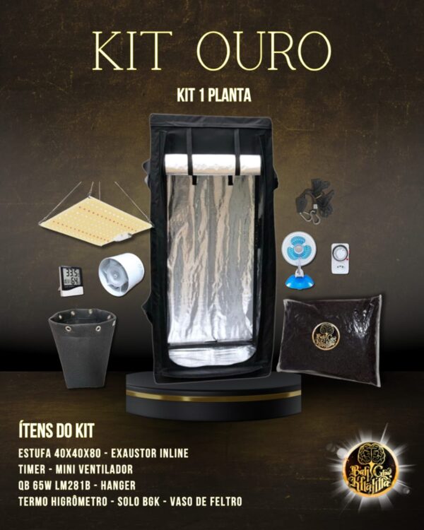 Kit Ouro BGK 1 Planta