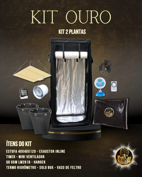 Kit Ouro BGK 2 Plantas