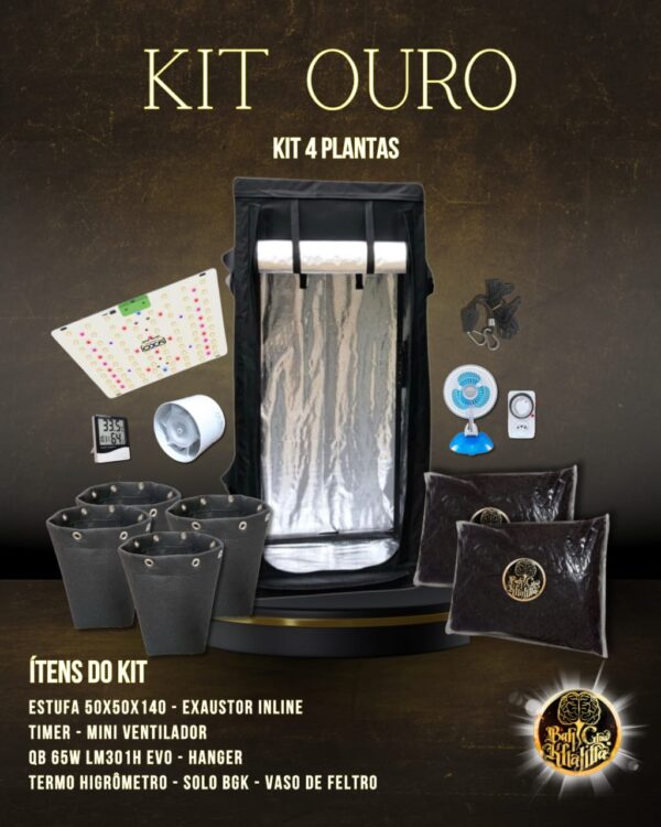 Kit Ouro BGK 4 Plantas