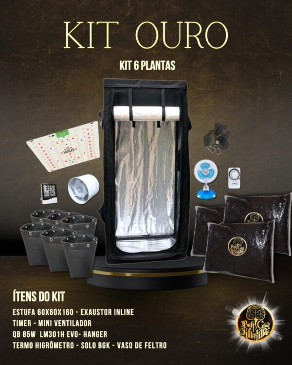 Kit Ouro BGK 6 Plantas