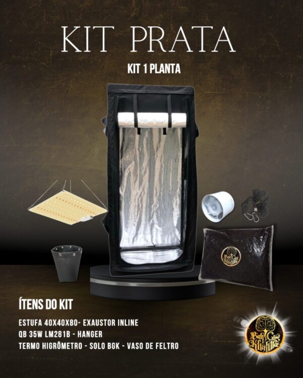 Kit Prata BGK 1 Planta