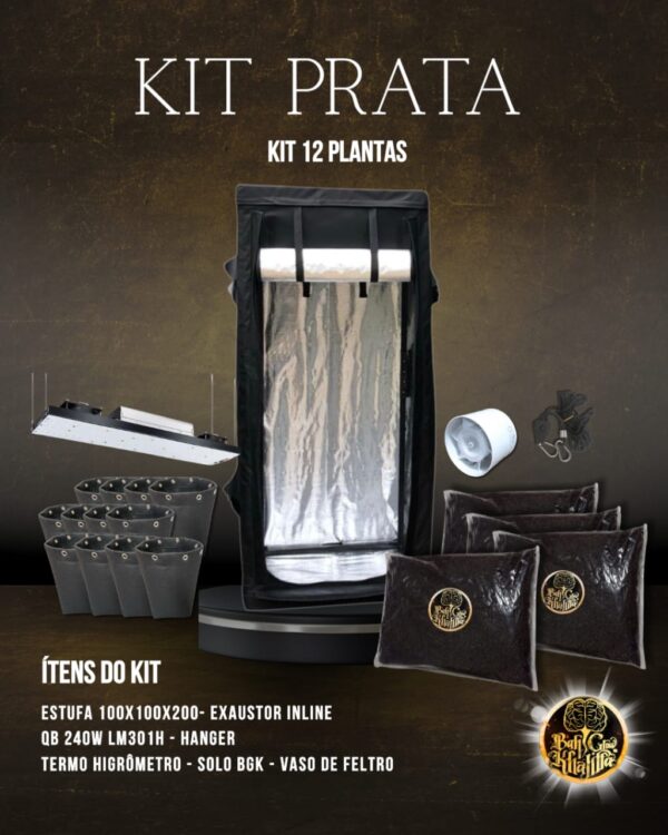 Kit Prata BGK 12 Plantas