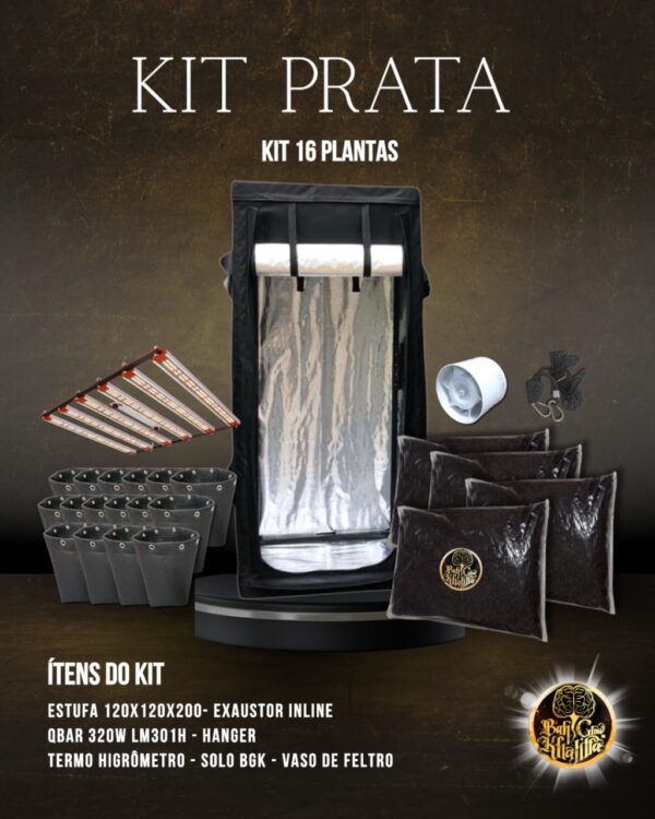 Kit Prata BGK 16 Plantas