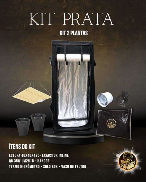 Kit Prata BGK 2 Plantas
