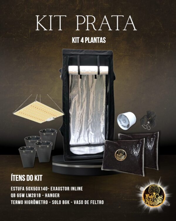 Kit Prata BGK 4 Plantas