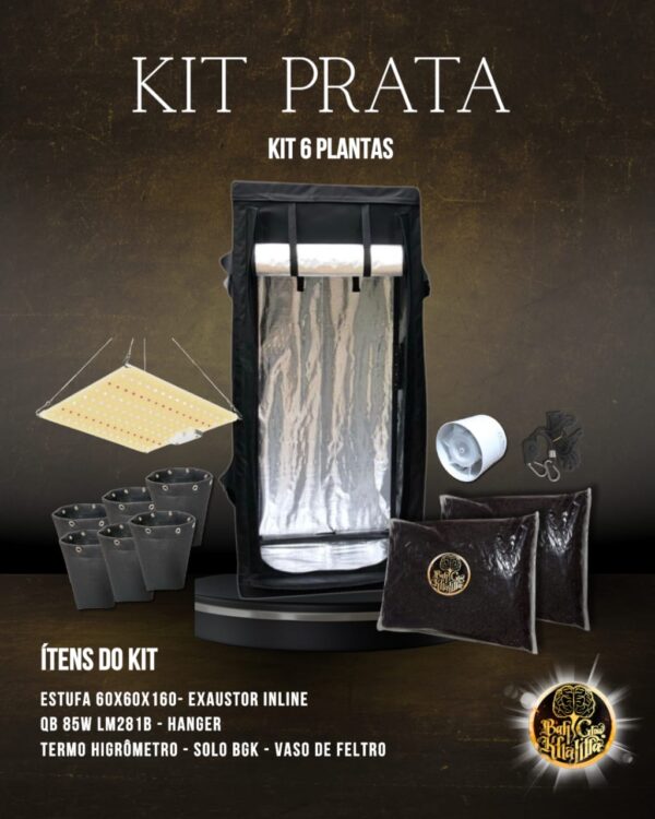 Kit Prata BGK 6 Plantas
