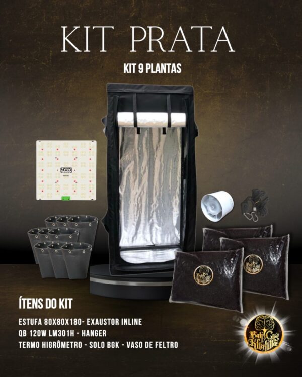 Kit Prata BGK 9 Plantas