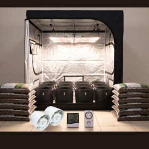 Kit BGK 12 Plantas