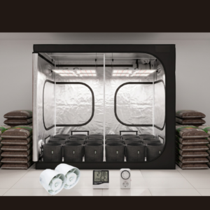 Kit BGK 16 Plantas