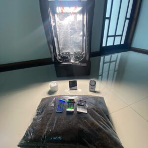 Kit BGK 4 Plantas